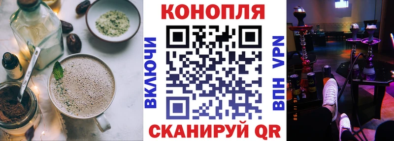цена Камышин Canna-Cookies марихуана