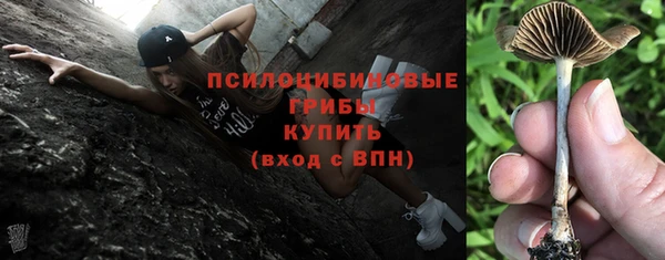 спайс Алексеевка