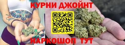 крисы Малоярославец