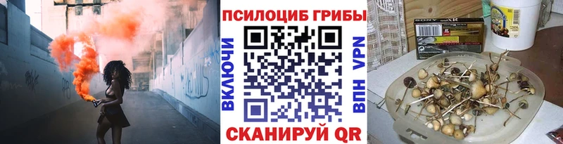 гидра tor Камышин Псилоцибиновые грибы прущие грибы