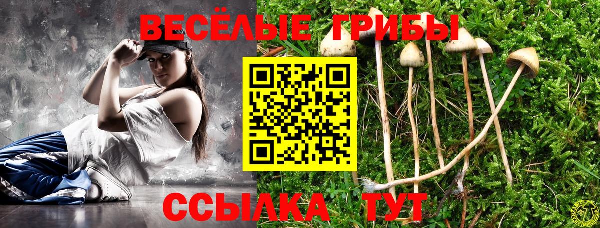 Галлюциногенные грибы Psilocybe  Галлюциногенные грибы мицелий  Камышин  купить  сайты  Вход с VPN 